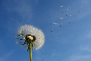 Spenden und Helfen