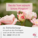 Rosafarbene Rosen